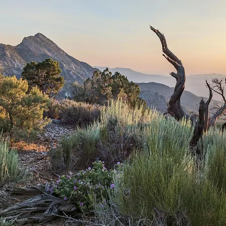 Wild Sage Camp Villa